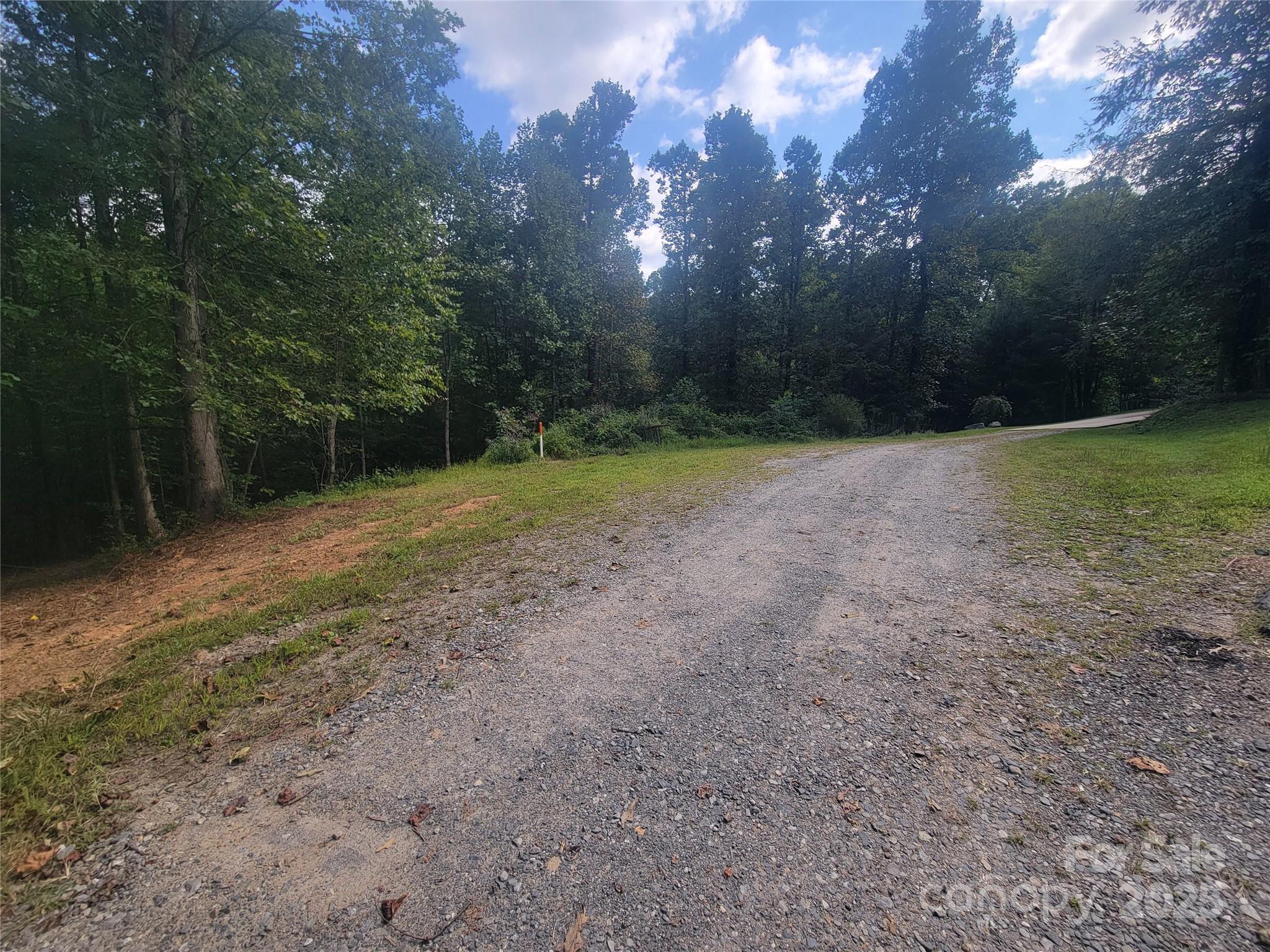 0 Bradford Park, Unit 10 Clyde, NC 28721 - Photo 2 of 23 a view of a field with trees in the background