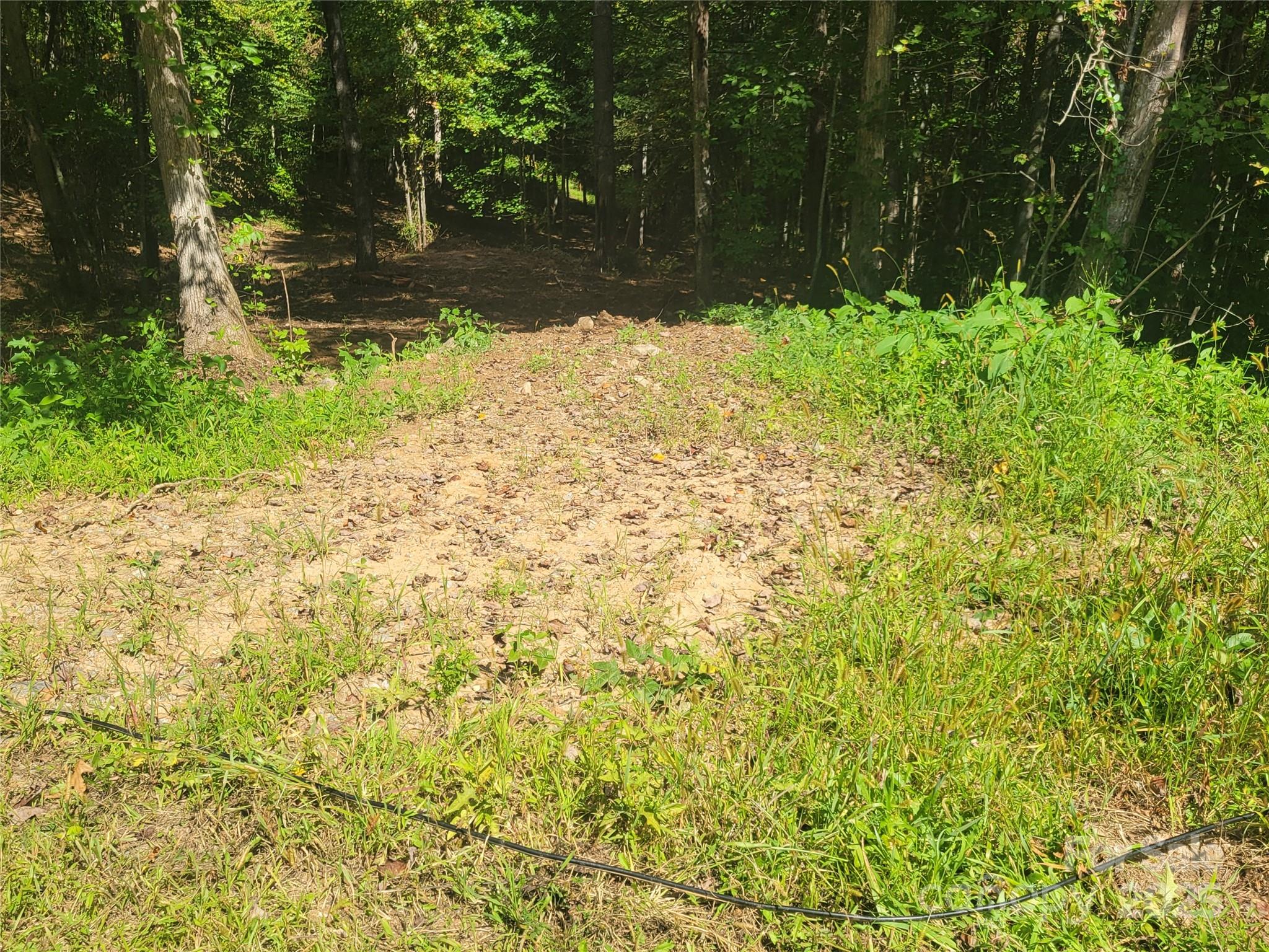 0 Bradford Park, Unit 10 Clyde, NC 28721 - Photo 21 of 23 a view of yard with green space