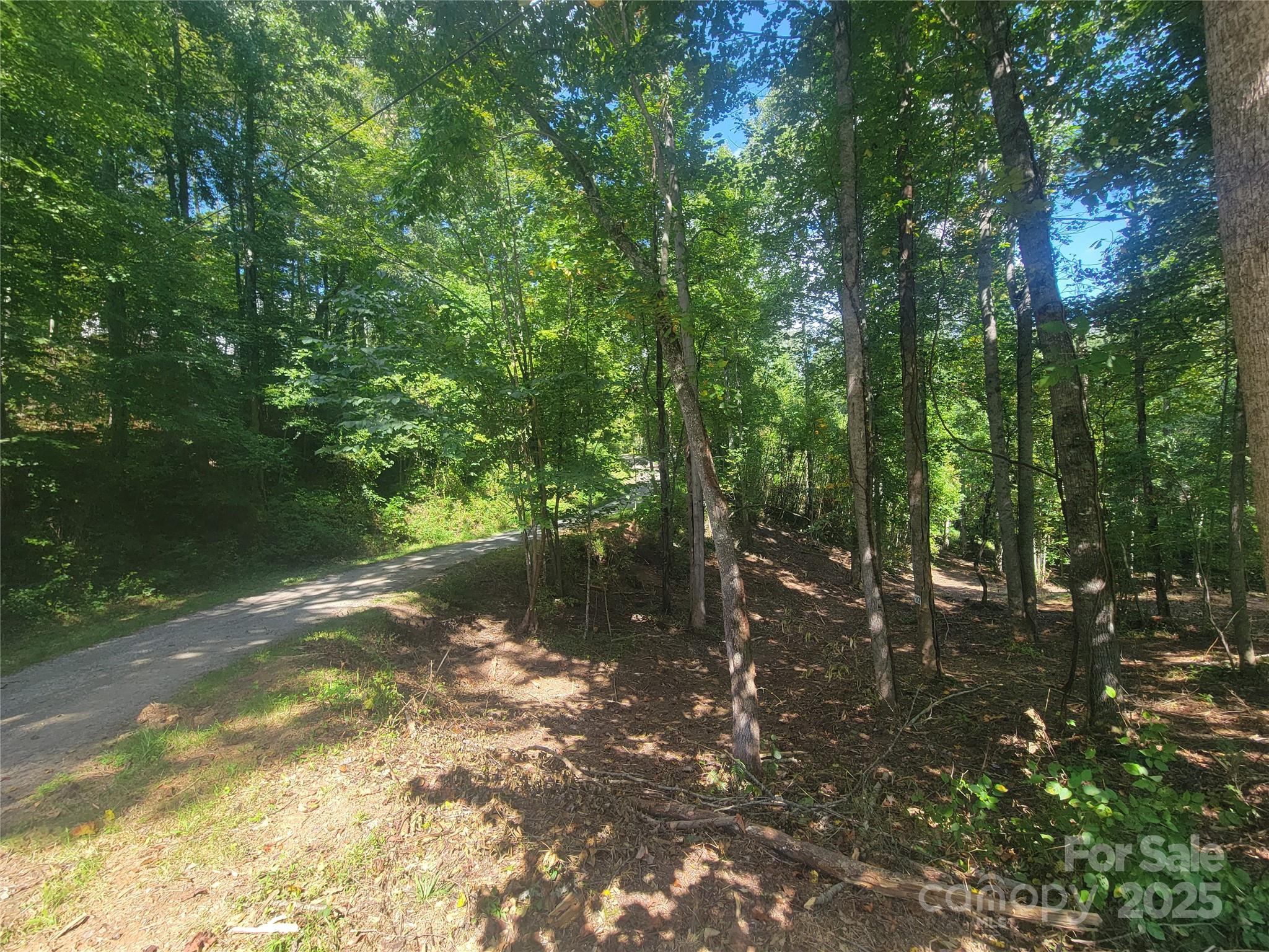 0 Bradford Park, Unit 10 Clyde, NC 28721 - Photo 22 of 23 a view of a tree in a yard
