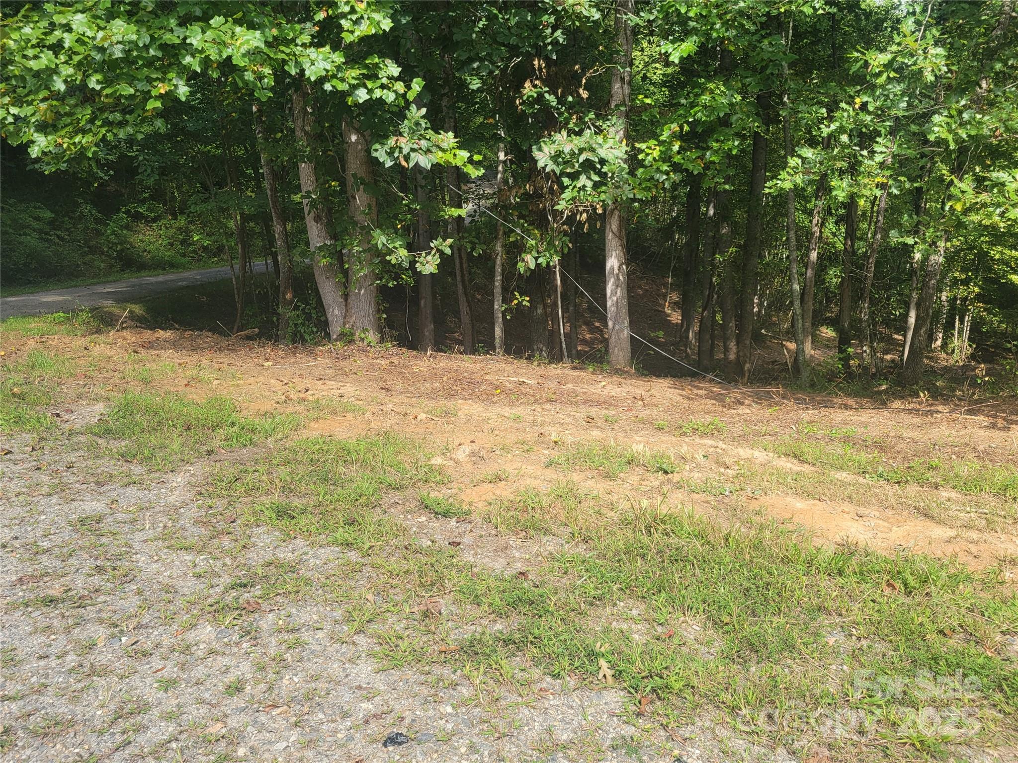 0 Bradford Park, Unit 10 Clyde, NC 28721 - Photo 3 of 23 a backyard of a house with large trees