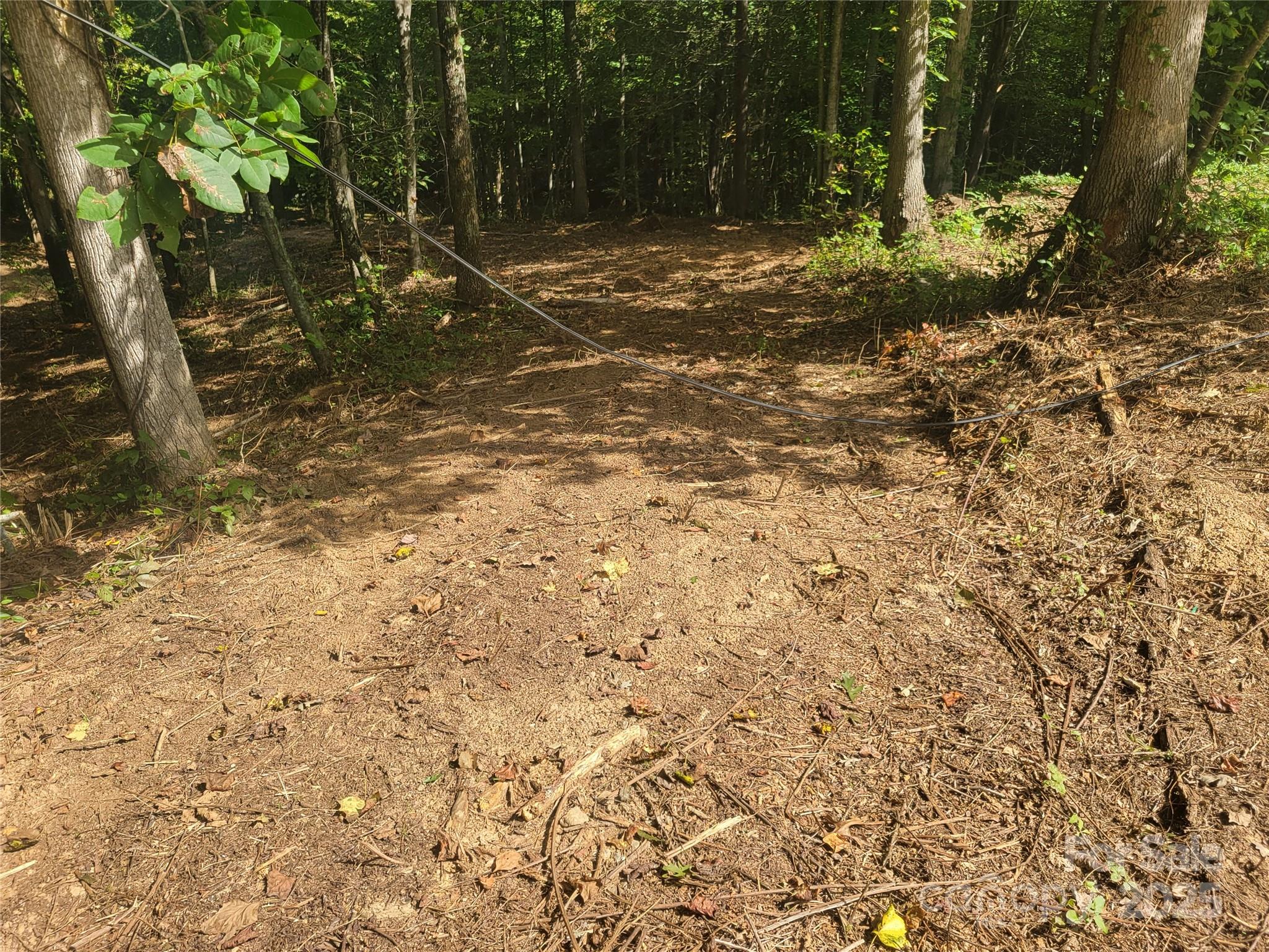 0 Bradford Park, Unit 10 Clyde, NC 28721 - Photo 4 of 23 a view of a yard with plants and trees