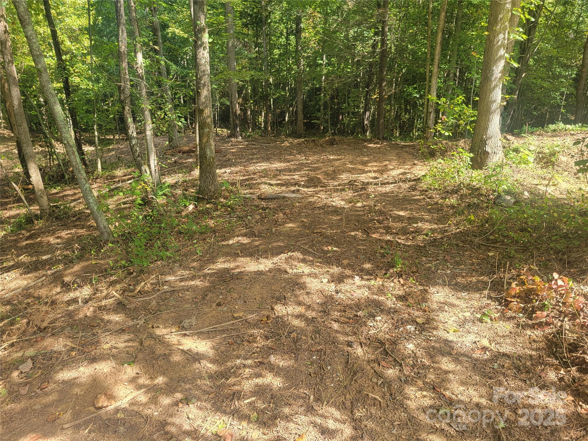 0 Bradford Park, Unit 10 Clyde, NC 28721 - Photo 5 of 23 a backyard of a house with lots of green space