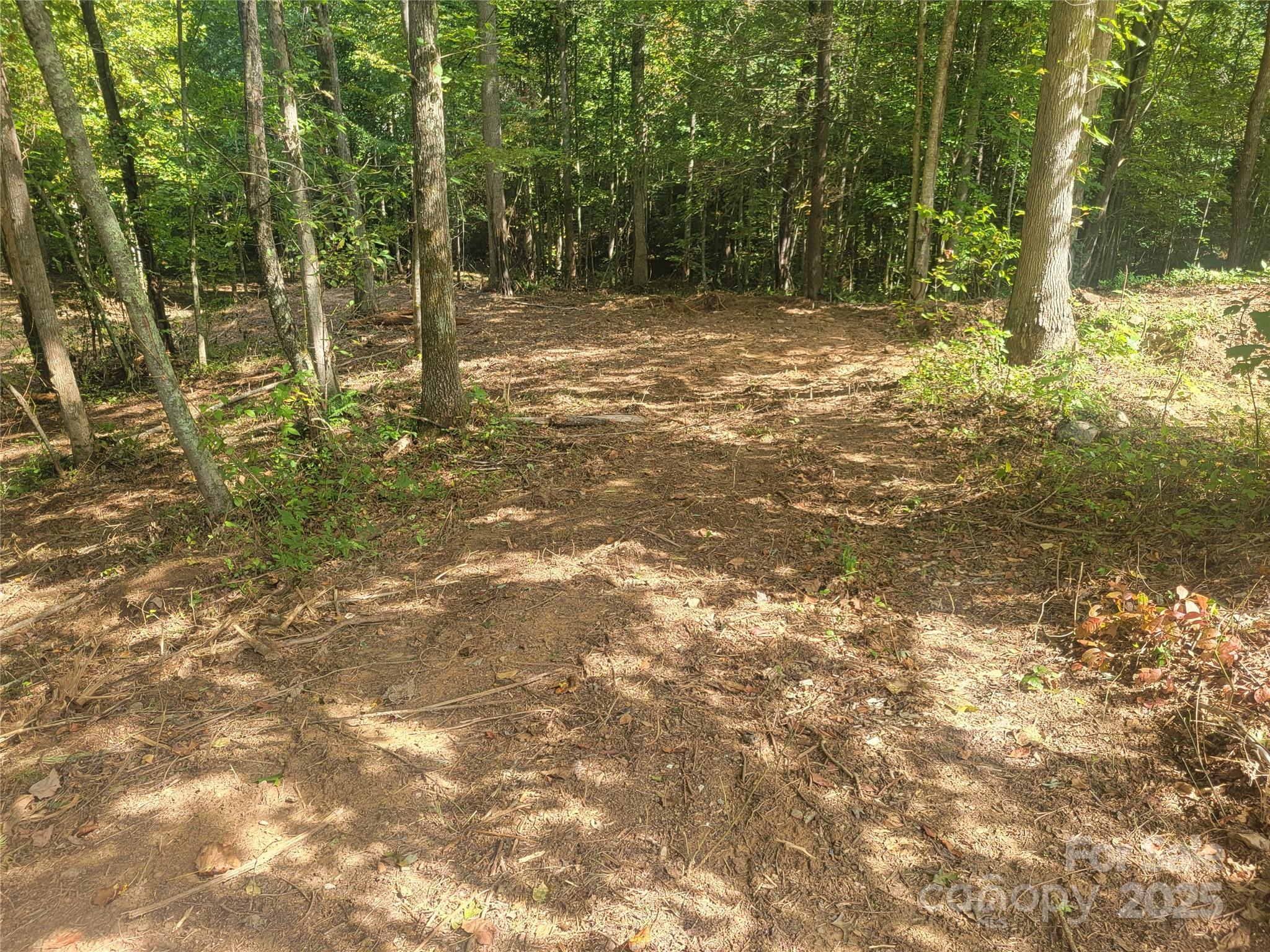 0 Bradford Park, Unit 10 Clyde, NC 28721 - Photo 6 of 23 a backyard of a house with lots of green space