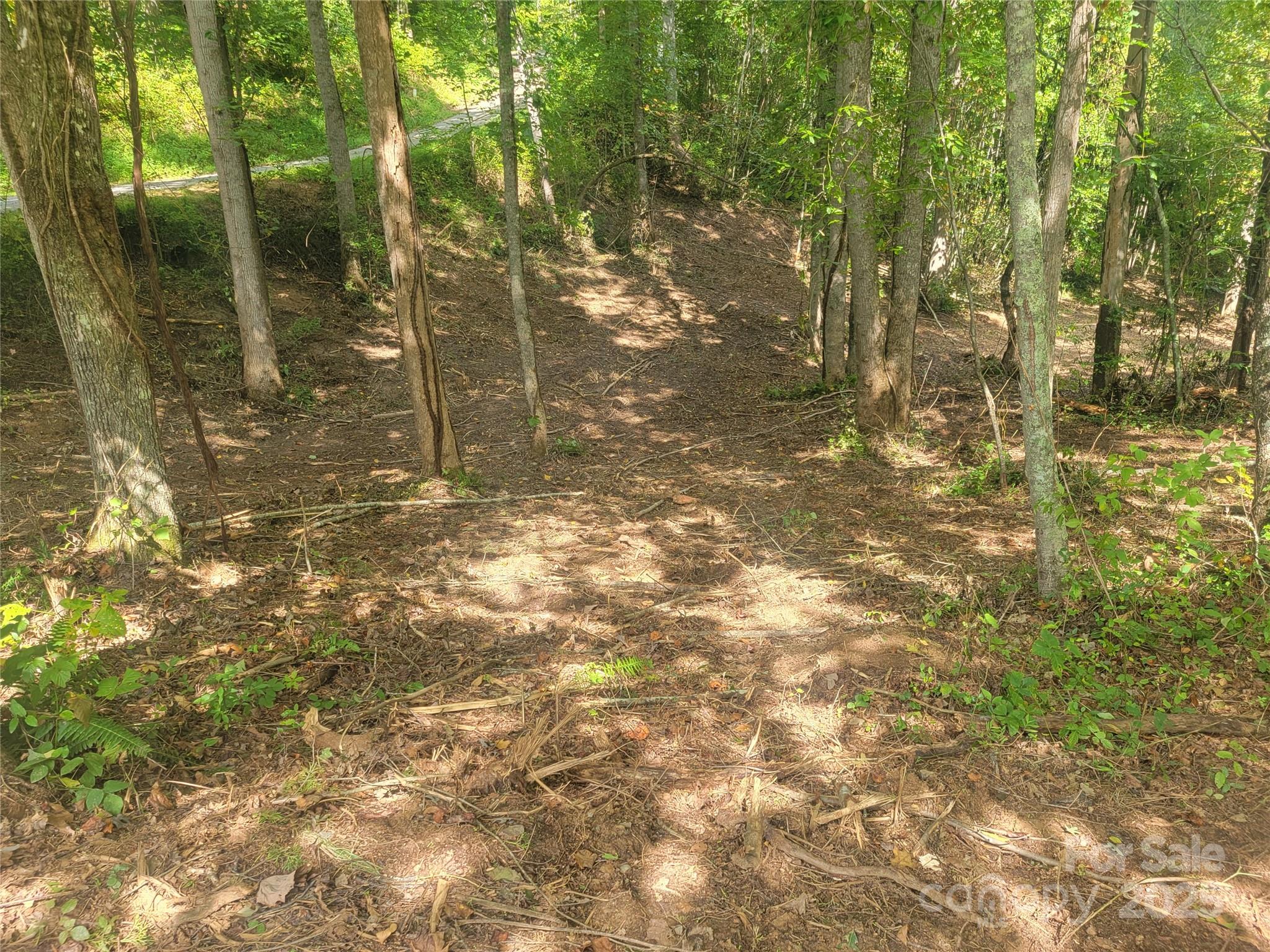 0 Bradford Park, Unit 10 Clyde, NC 28721 - Photo 7 of 23 a view of a tree in a yard