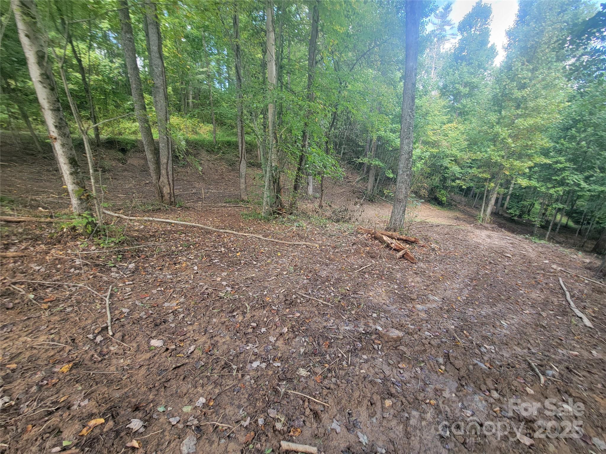 0 Bradford Park, Unit 10 Clyde, NC 28721 - Photo 8 of 23 a view of a forest with trees in the background