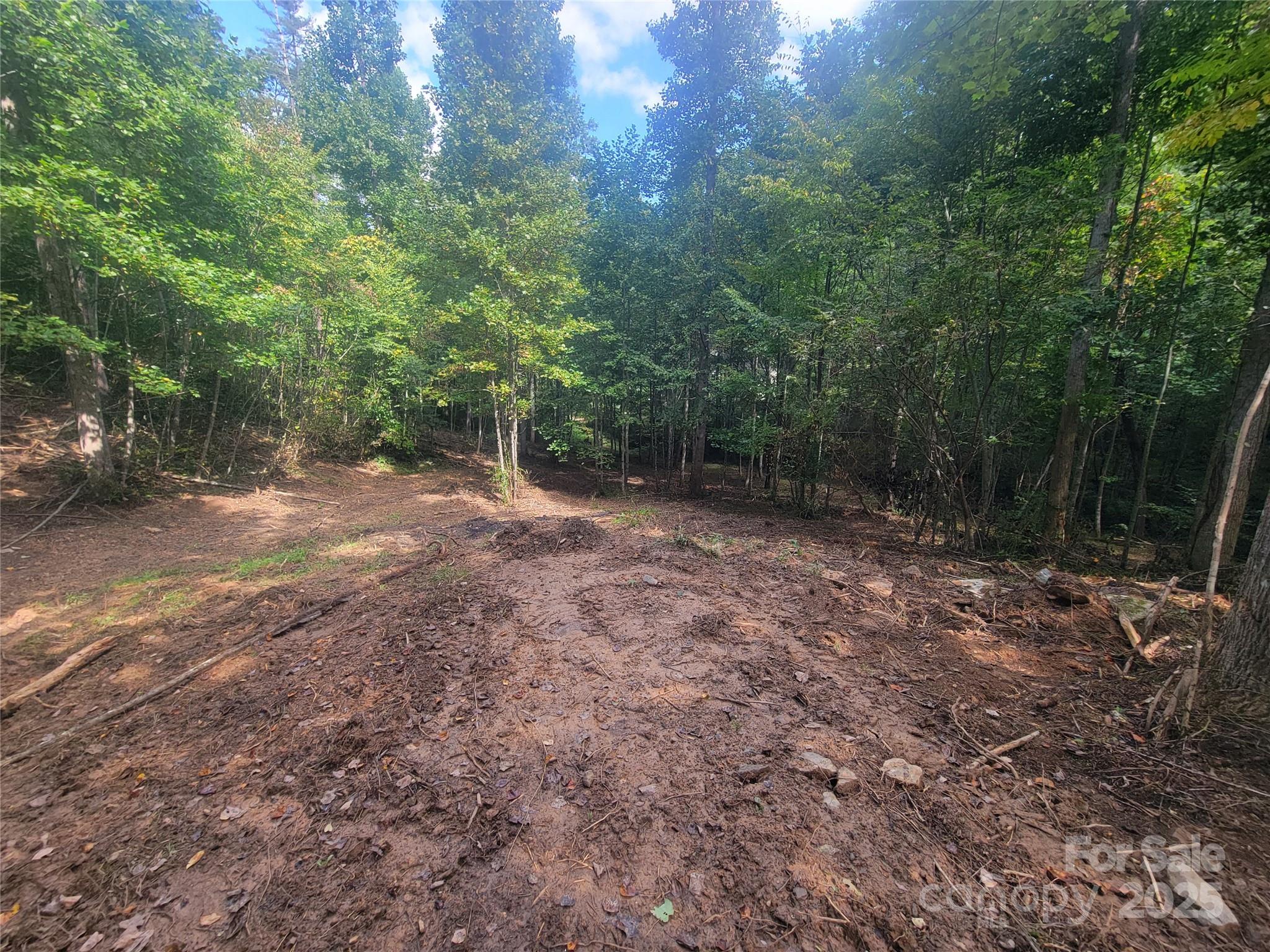 0 Bradford Park, Unit 10 Clyde, NC 28721 - Photo 10 of 23 a view of a forest with trees in the background
