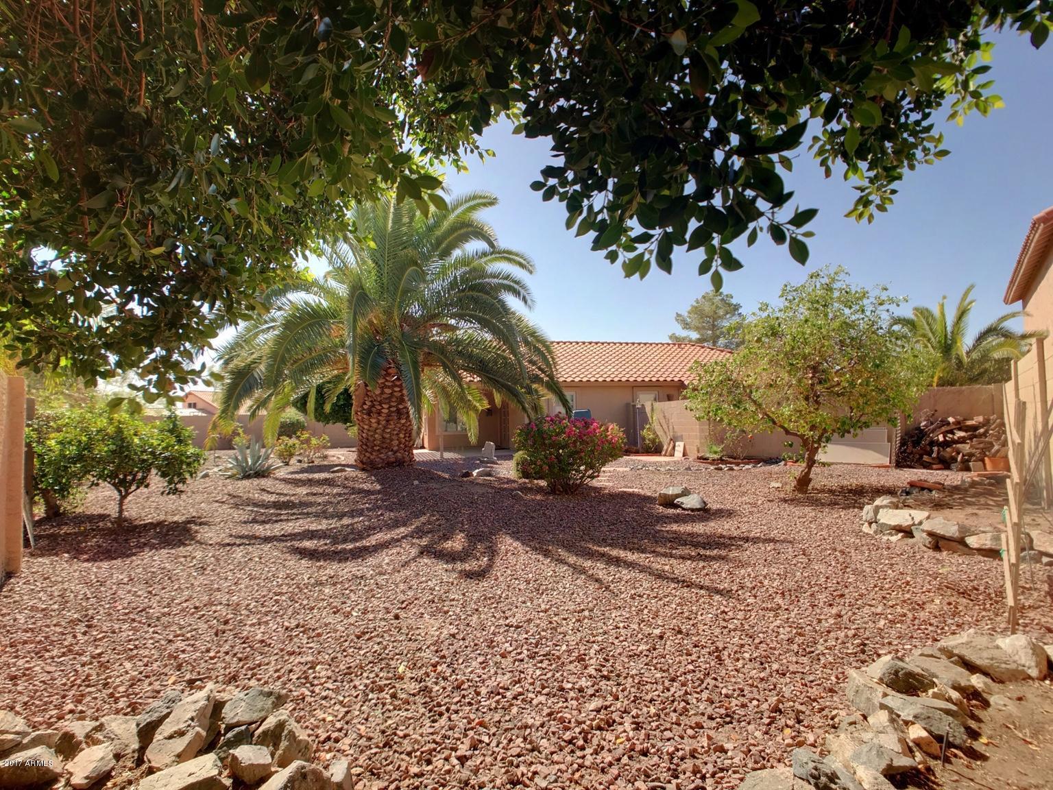 3015 East Amber Ridge Way Phoenix, AZ 85048 - Photo 23 of 34 Backyard 3