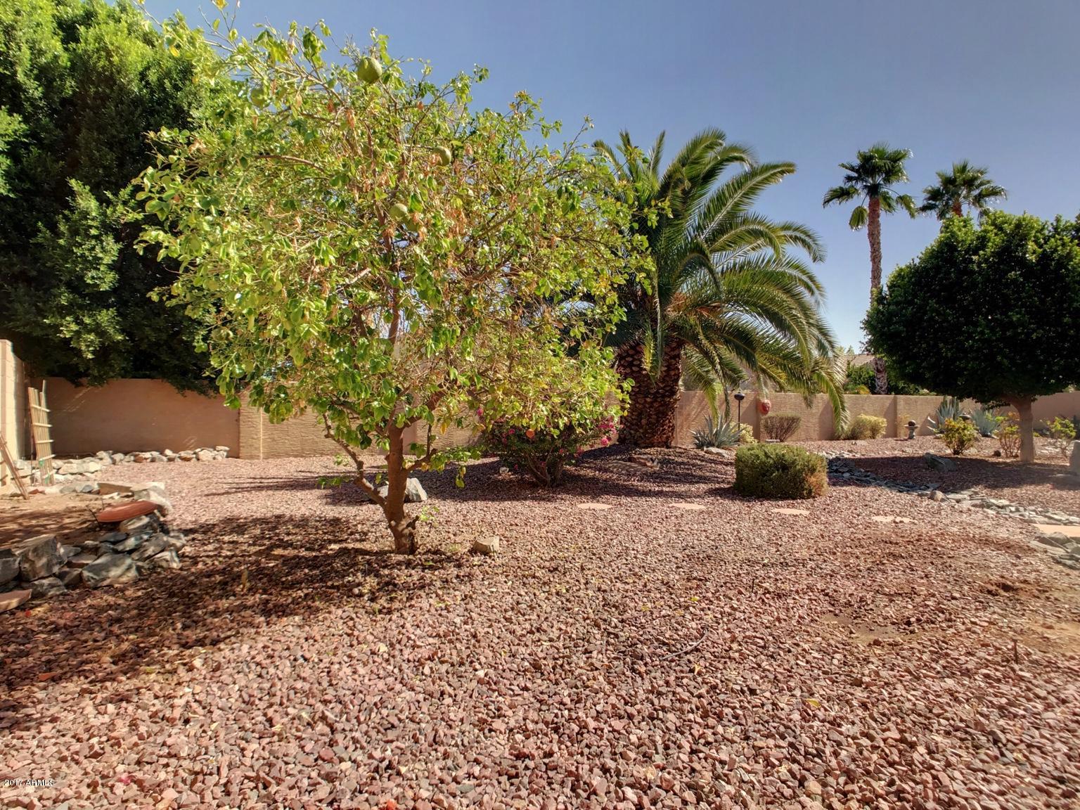 3015 East Amber Ridge Way Phoenix, AZ 85048 - Photo 24 of 34 Backyard 4