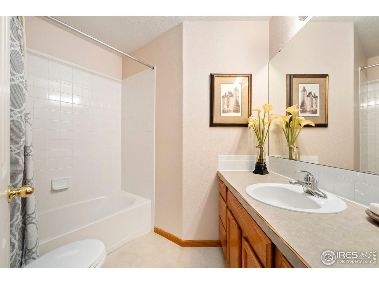 623 Foxtail Way Severance, CO 80550 - Photo 21 of 27 a bathroom with a sink and a mirror