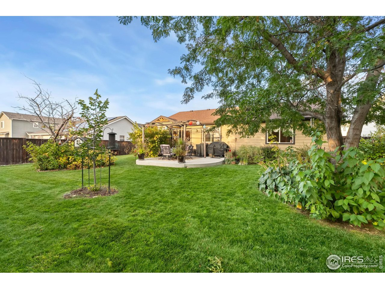 623 Foxtail Way Severance, CO 80550 - Photo 26 of 27 a view of outdoor space and yard