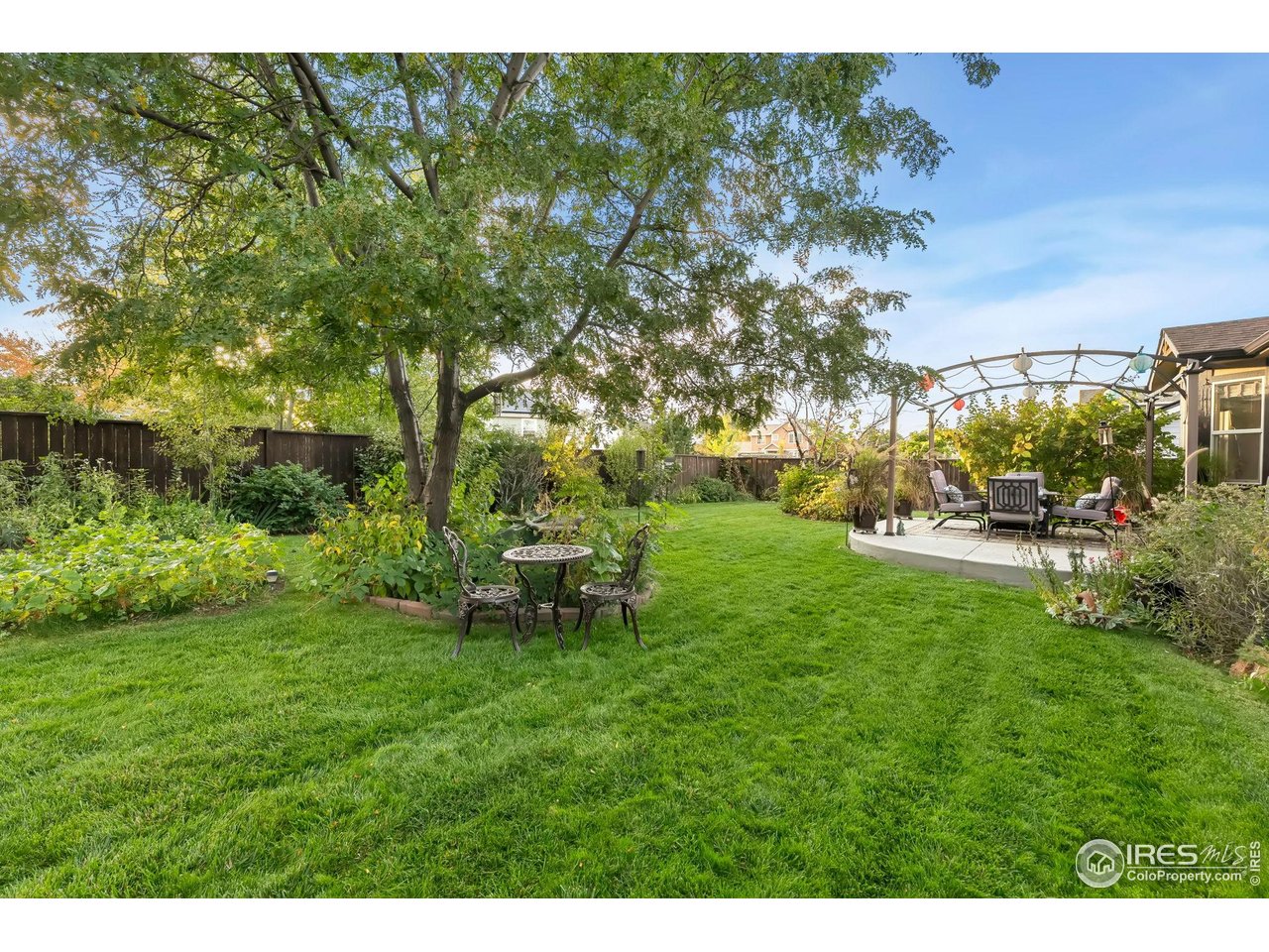 623 Foxtail Way Severance, CO 80550 - Photo 27 of 27 a view of a park with large trees