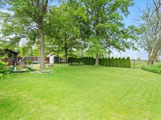 a view of a park with large trees