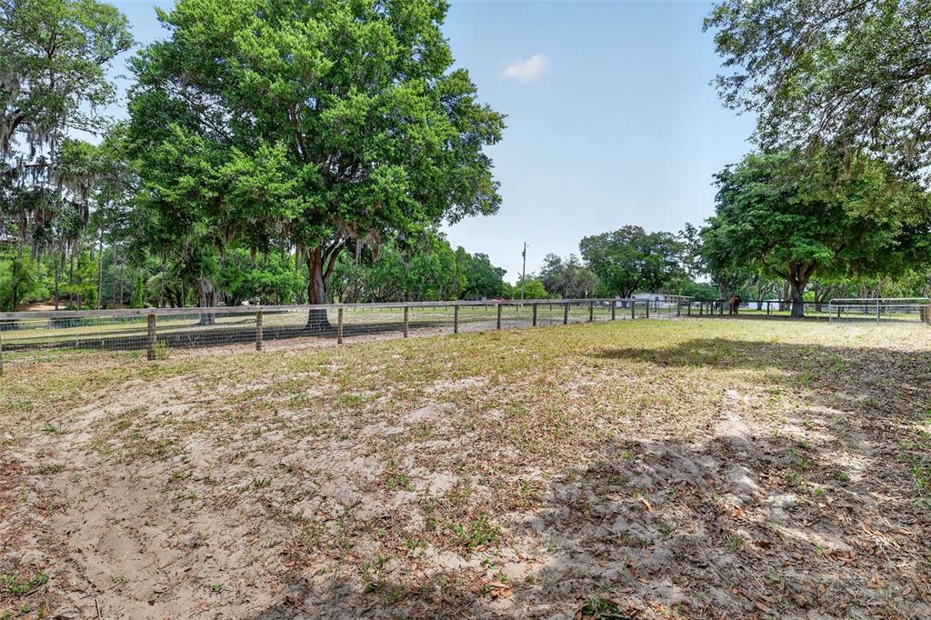 11241 Em En El Grove Road Leesburg, FL 34788 - Photo 52 of 59
