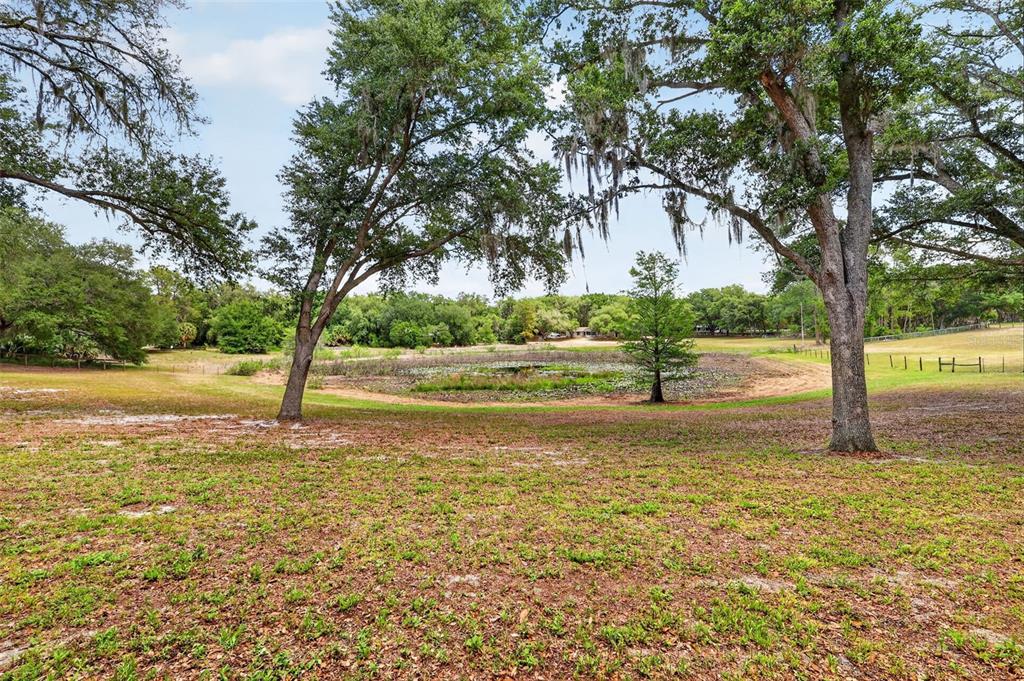 11241 Em En El Grove Road Leesburg, FL 34788 - Photo 55 of 59