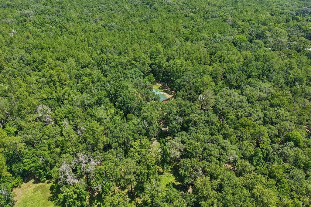 6221 Emerson Road Brooksville, FL 34601 - Photo 39 of 45
