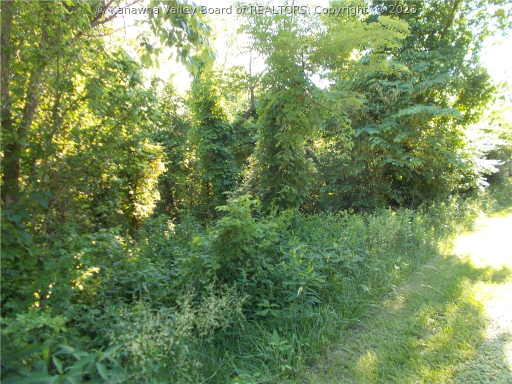 12 Pine Grove Road Sumerco, WV 25567 - Photo 2 of 6 Gallery Image 2