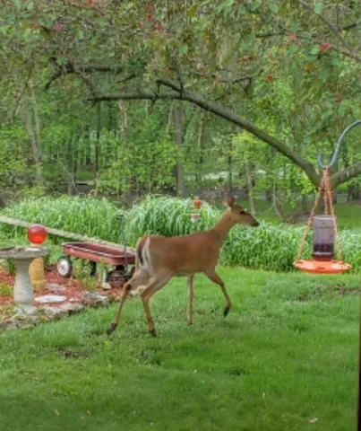 $259,900 | 2956 South Marion Road, La Crosse, WI 54601