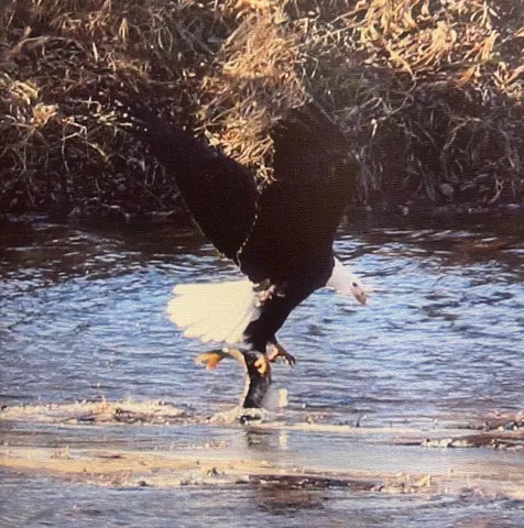 $259,900 | 2956 South Marion Road, La Crosse, WI 54601