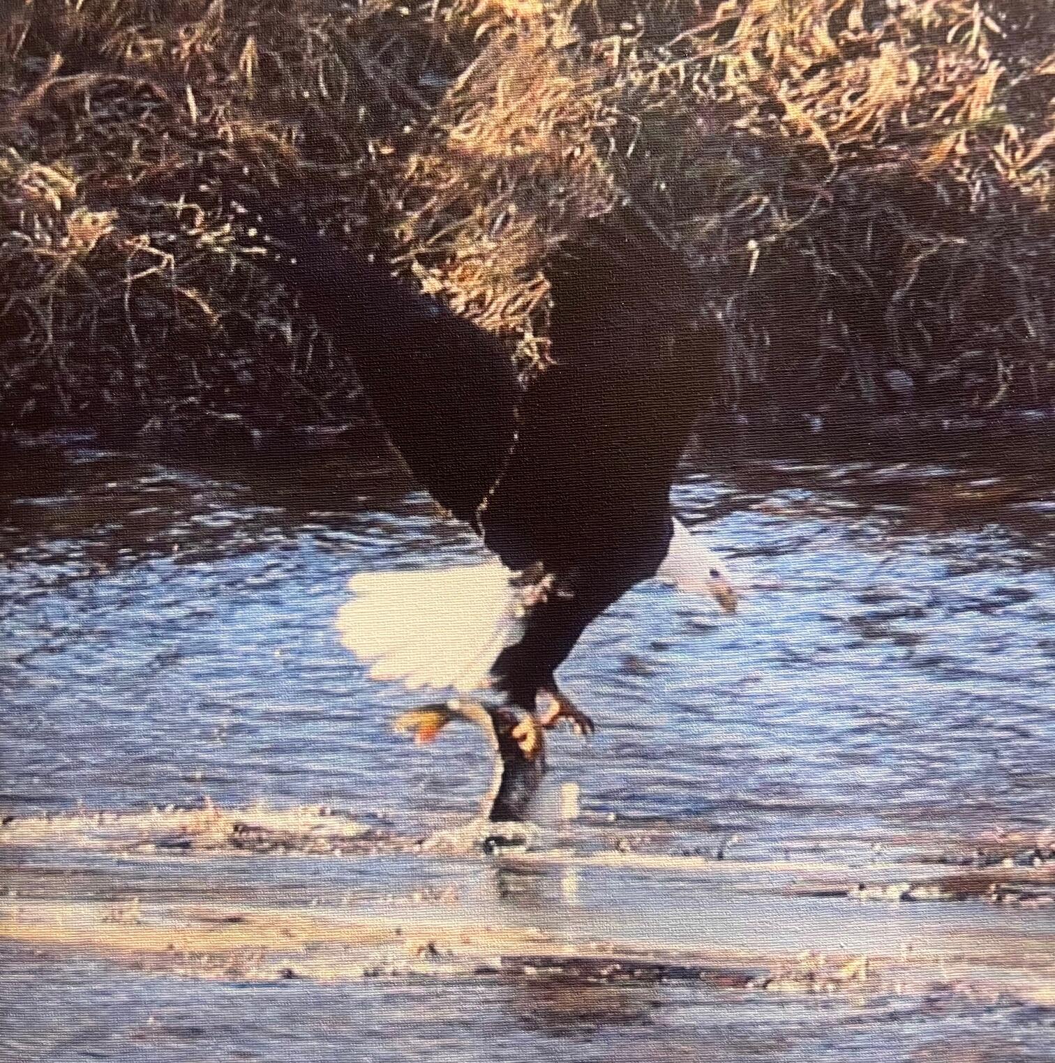 2956 South Marion Road La Crosse, WI 54601 - Photo 31 of 31 Backyard Beauty