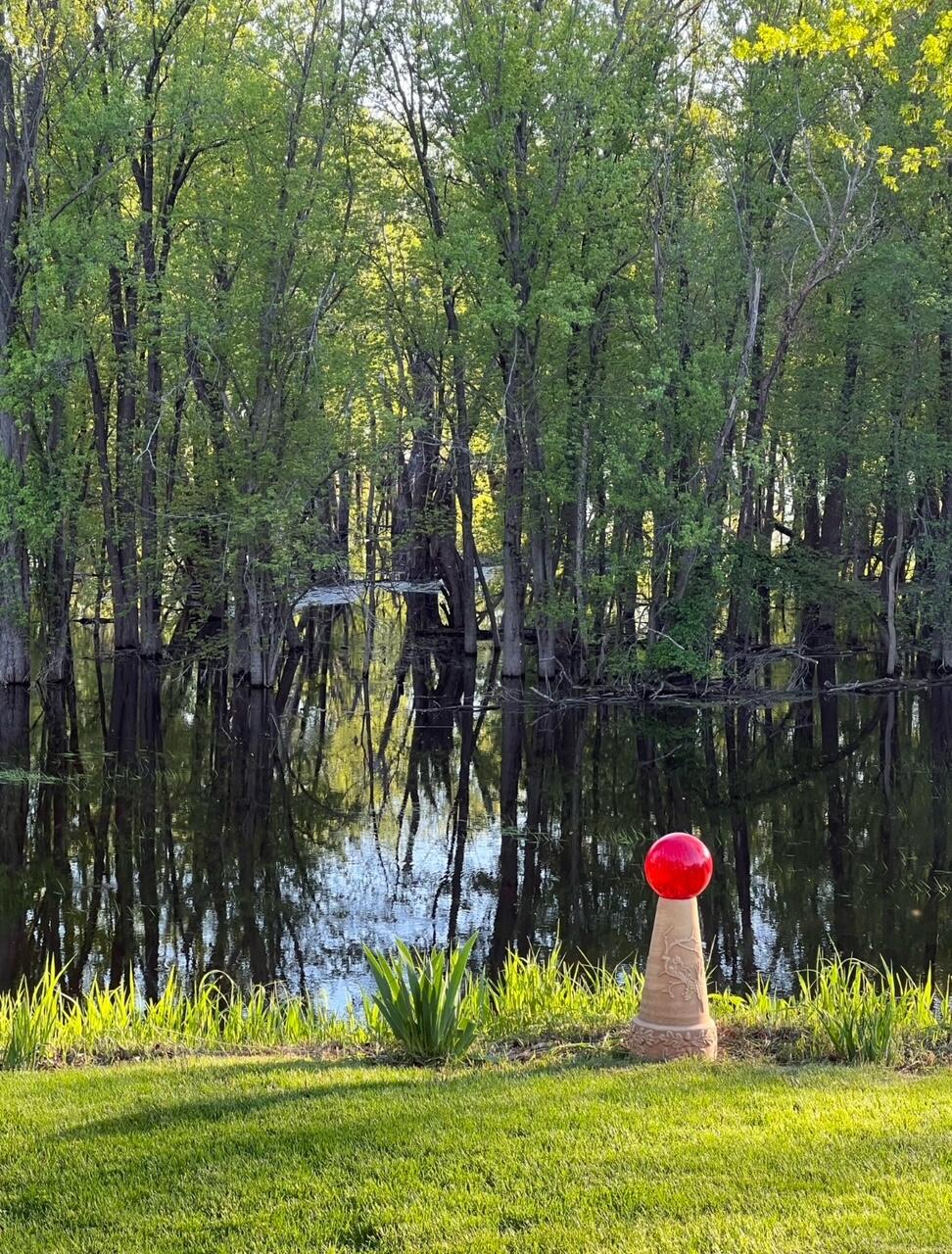 2956 South Marion Road La Crosse, WI 54601 - Photo 5 of 31 Backyard Beauty