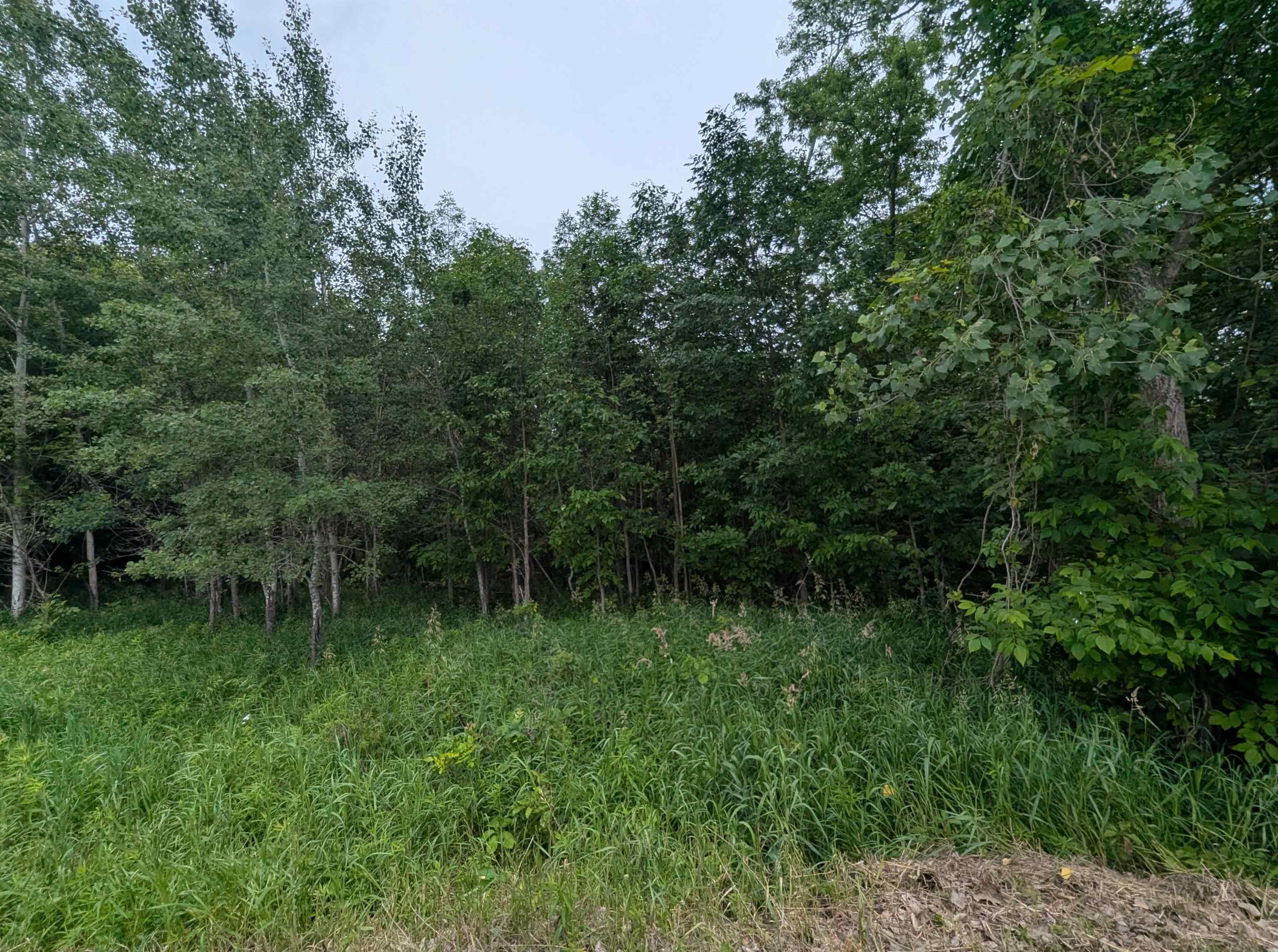 N/a Shenfield Road Turner, MI 48765 - Photo 1 of 15 1947337-7efa1235-2940-46f6-abb3-57705aab5c29.JPG