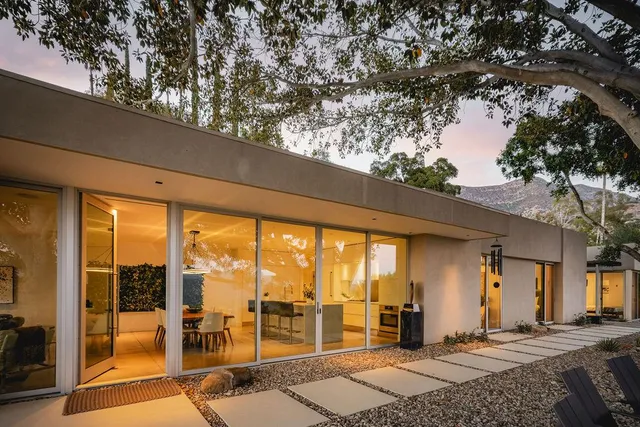 a living room with a large tree and wooden floor