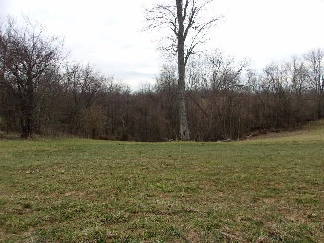 2591 Augusta Chatham Road Augusta, KY 41002 - Photo 26 of 30 Gallery Image 26