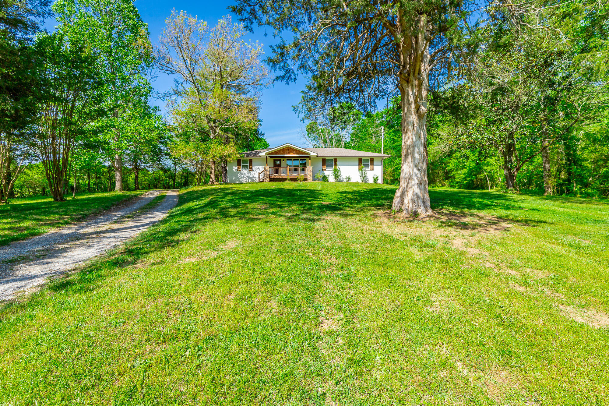 838 Campbell Road Tunnel Hill, GA 30755 - Photo 3 of 60 Large front yard