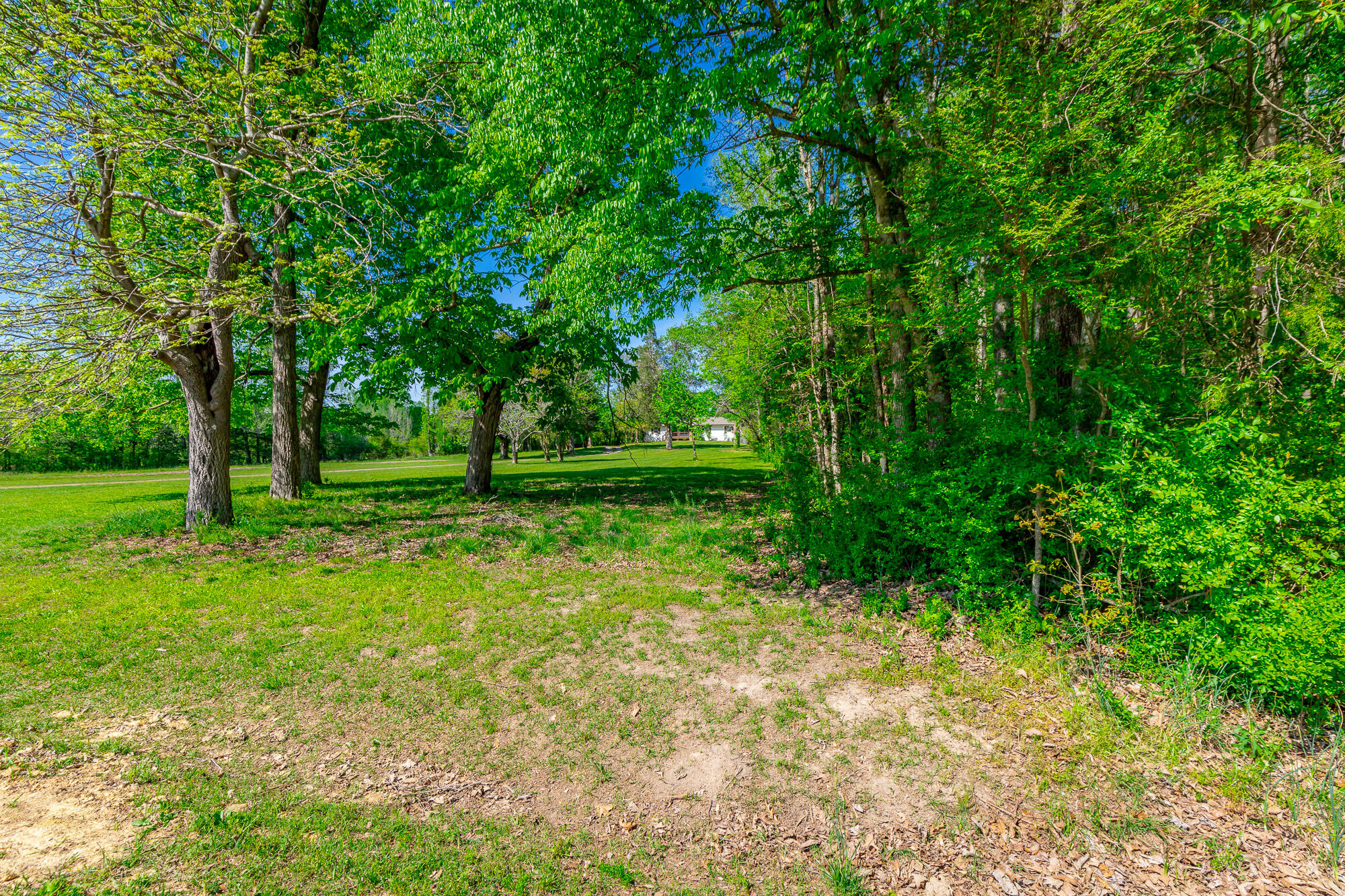 838 Campbell Road Tunnel Hill, GA 30755 - Photo 35 of 60 Great yard