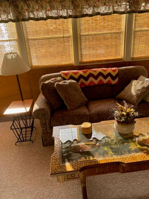 9745 Ivanhoe Road Ivanhoe, VA 24350 - Photo 24 of 55 Gallery Image 24