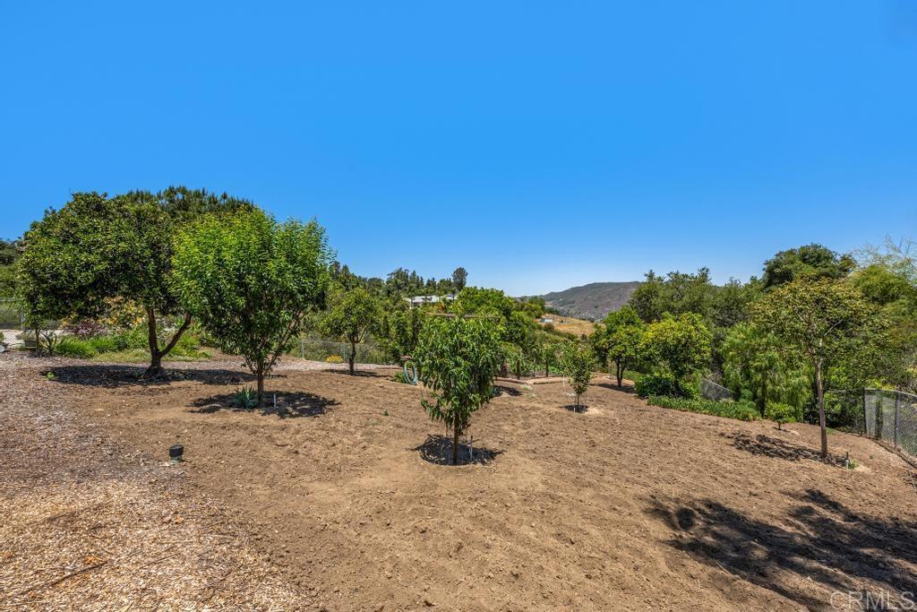 1057 Riverview Drive Fallbrook, CA 92028 - Photo 40 of 69 a view of a road with a building in the background