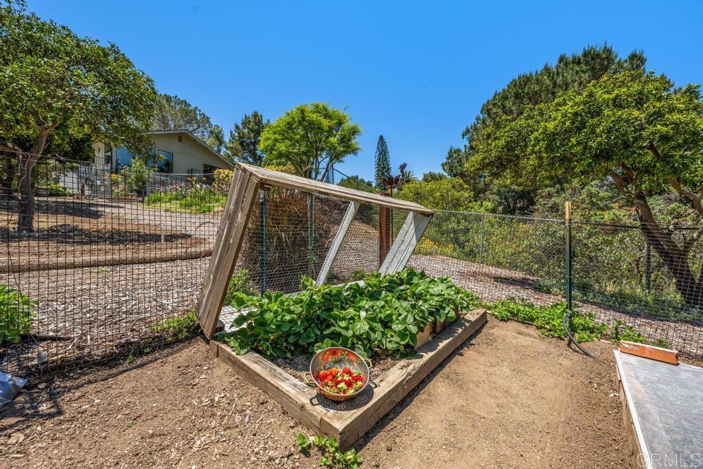 1057 Riverview Drive Fallbrook, CA 92028 - Photo 42 of 69 a view of a garden with wooden fence