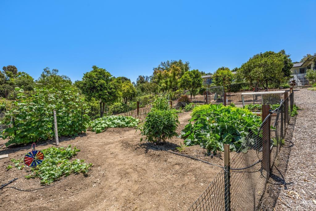 1057 Riverview Drive Fallbrook, CA 92028 - Photo 43 of 69 a view of a garden with plants and large trees