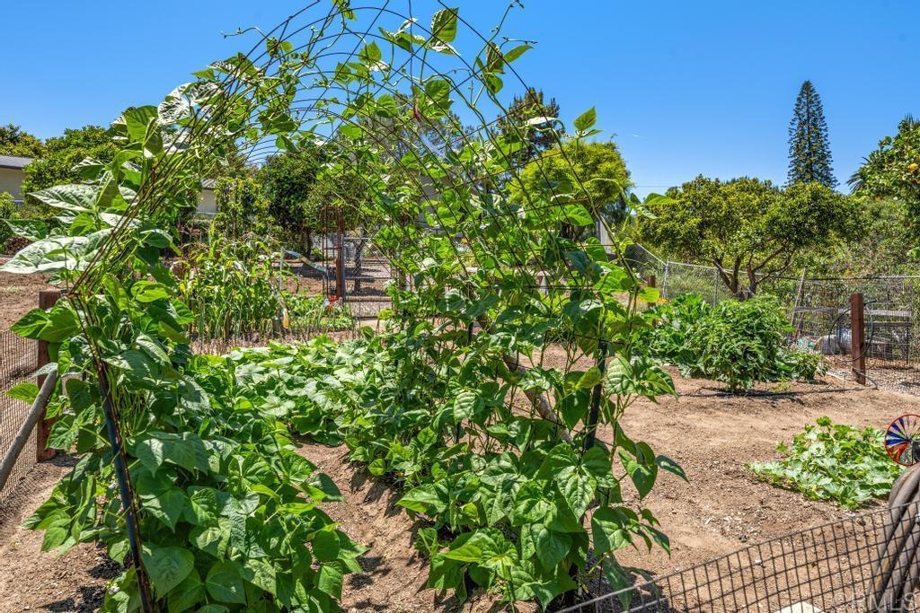 1057 Riverview Drive Fallbrook, CA 92028 - Photo 44 of 69