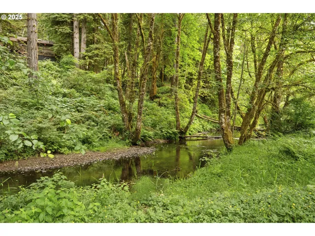 a view of a green yard