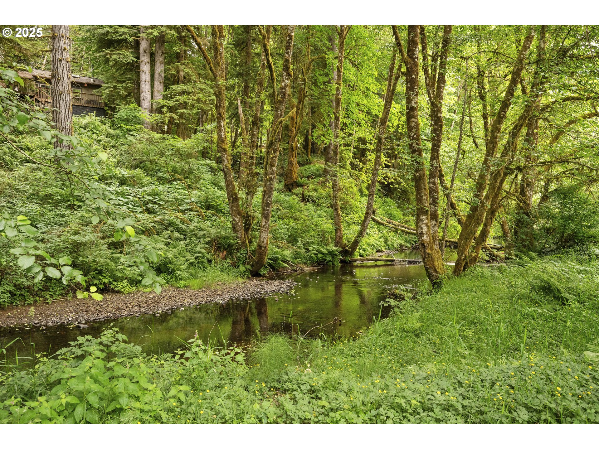 10304 Fieldcrest Drive Birkenfeld, OR 97016 - Photo 6 of 19 a view of a garden