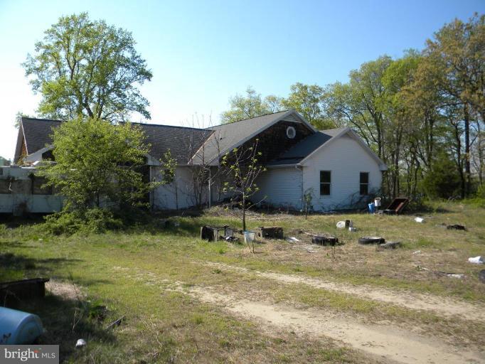 Back yard