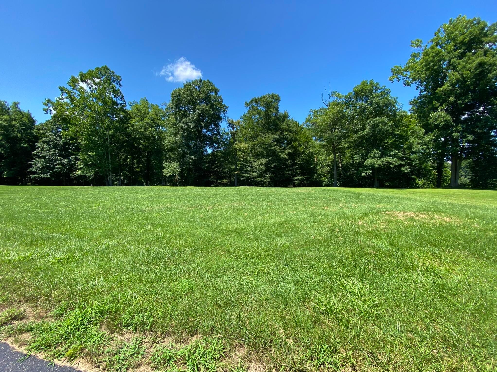 Lot 31 Fox Run Road Caldwell, WV 24925 - Photo 4 of 13 Gallery Image 4