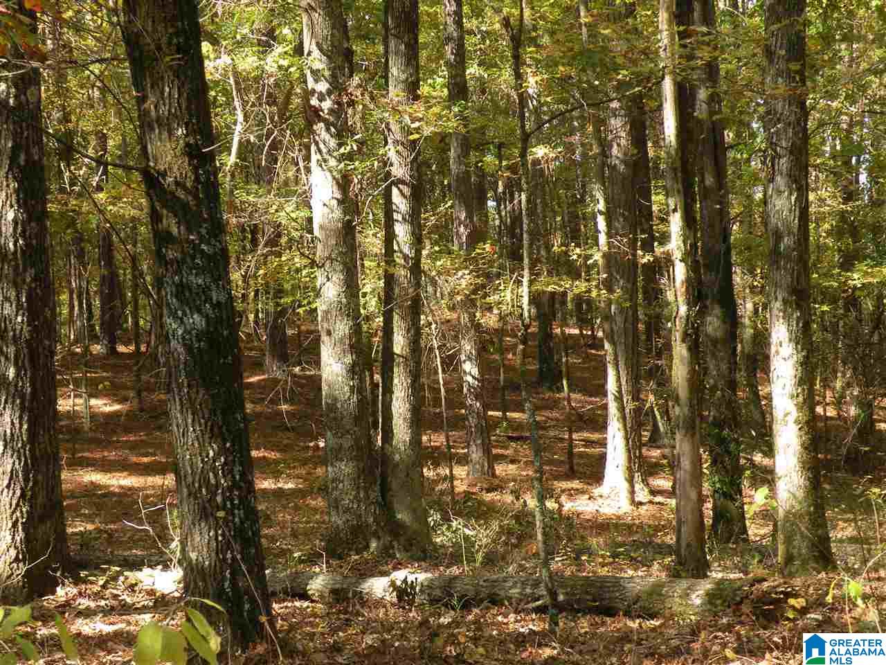4950 Plantersville Road Alpine, AL 35014 - Photo 33 of 47 Gallery Image 33