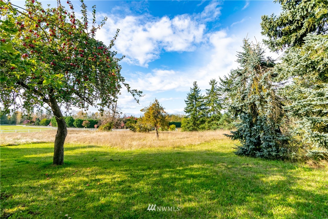 3311 Happy Valley Road Sequim, WA 98382 - Photo 14 of 25