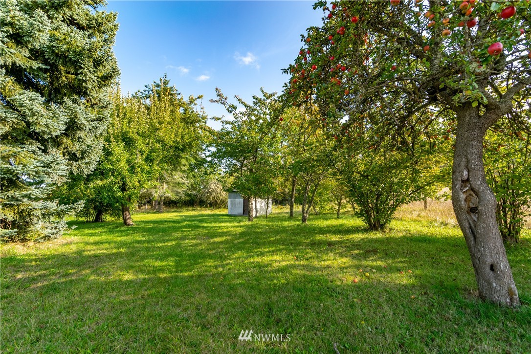 3311 Happy Valley Road Sequim, WA 98382 - Photo 16 of 25
