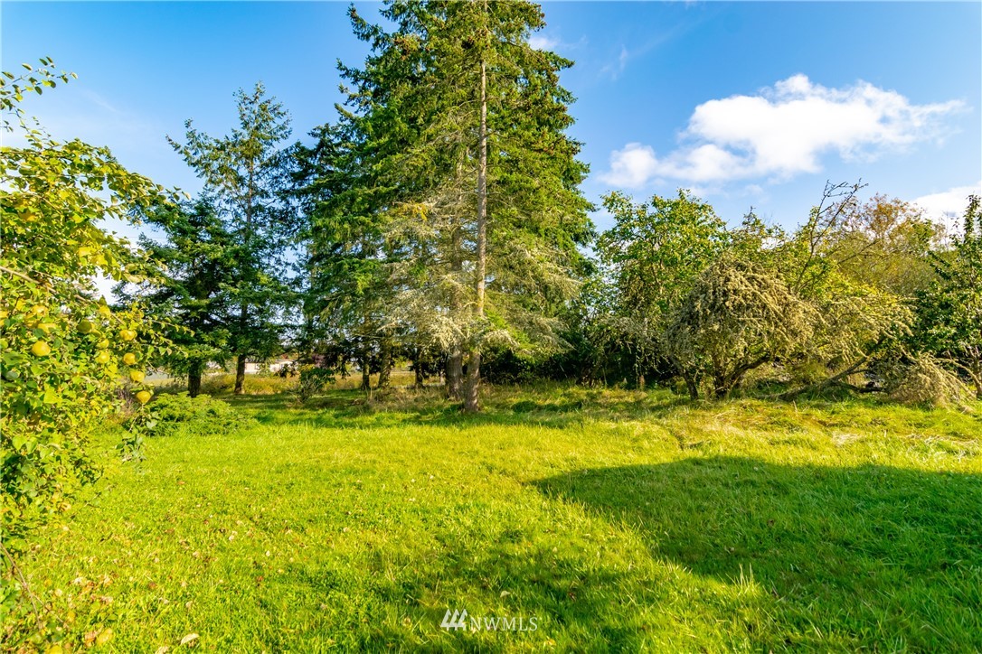 3311 Happy Valley Road Sequim, WA 98382 - Photo 9 of 25