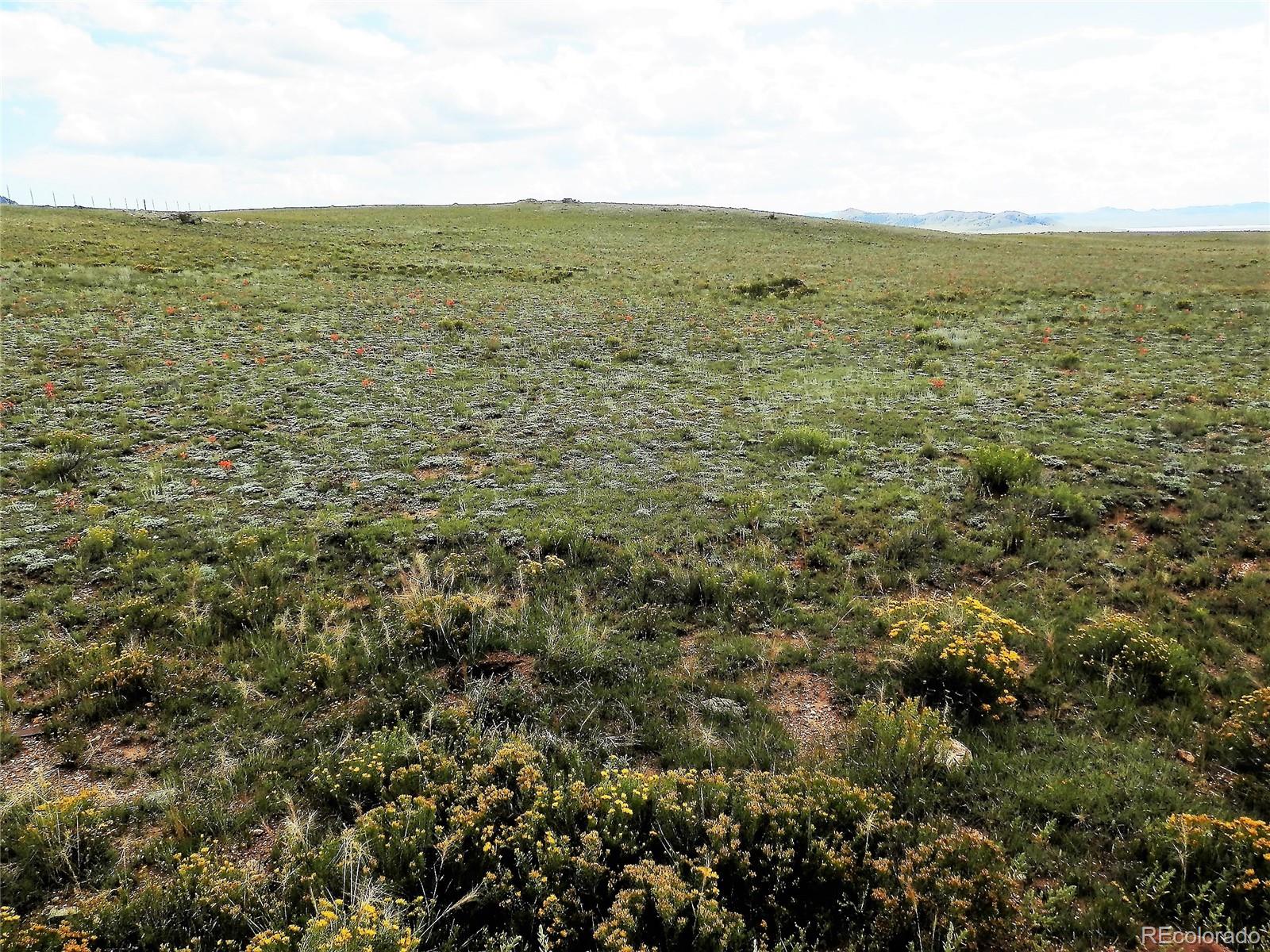 11372 Jackson Road Lake George, CO 80827 - Photo 13 of 13 Gallery Image 13