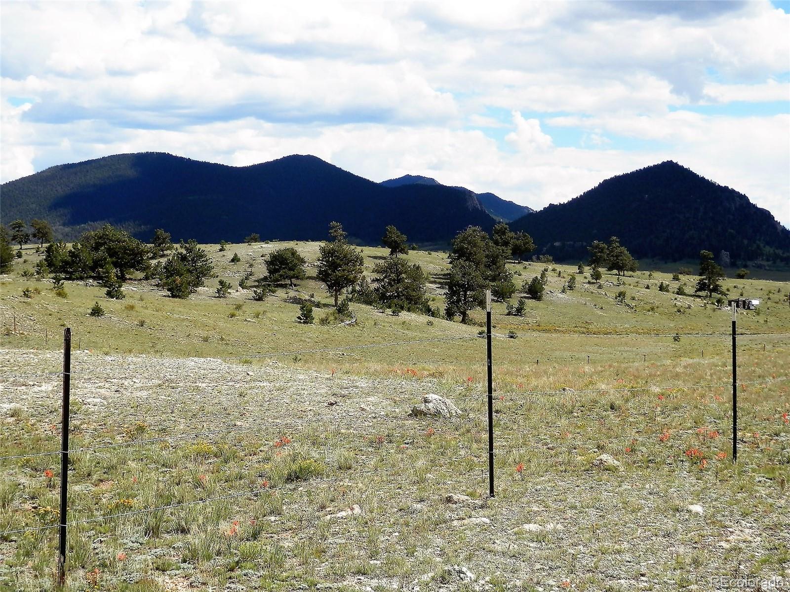 11372 Jackson Road Lake George, CO 80827 - Photo 3 of 13 Gallery Image 3