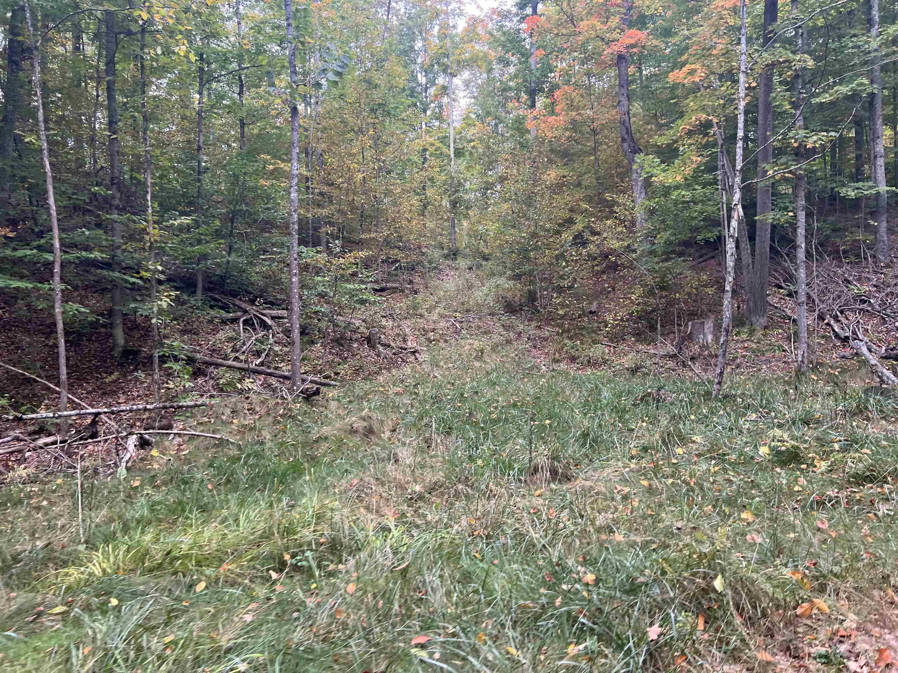 90 A Ridgeview Drive Kalkaska, MI 49646 - Photo 28 of 75