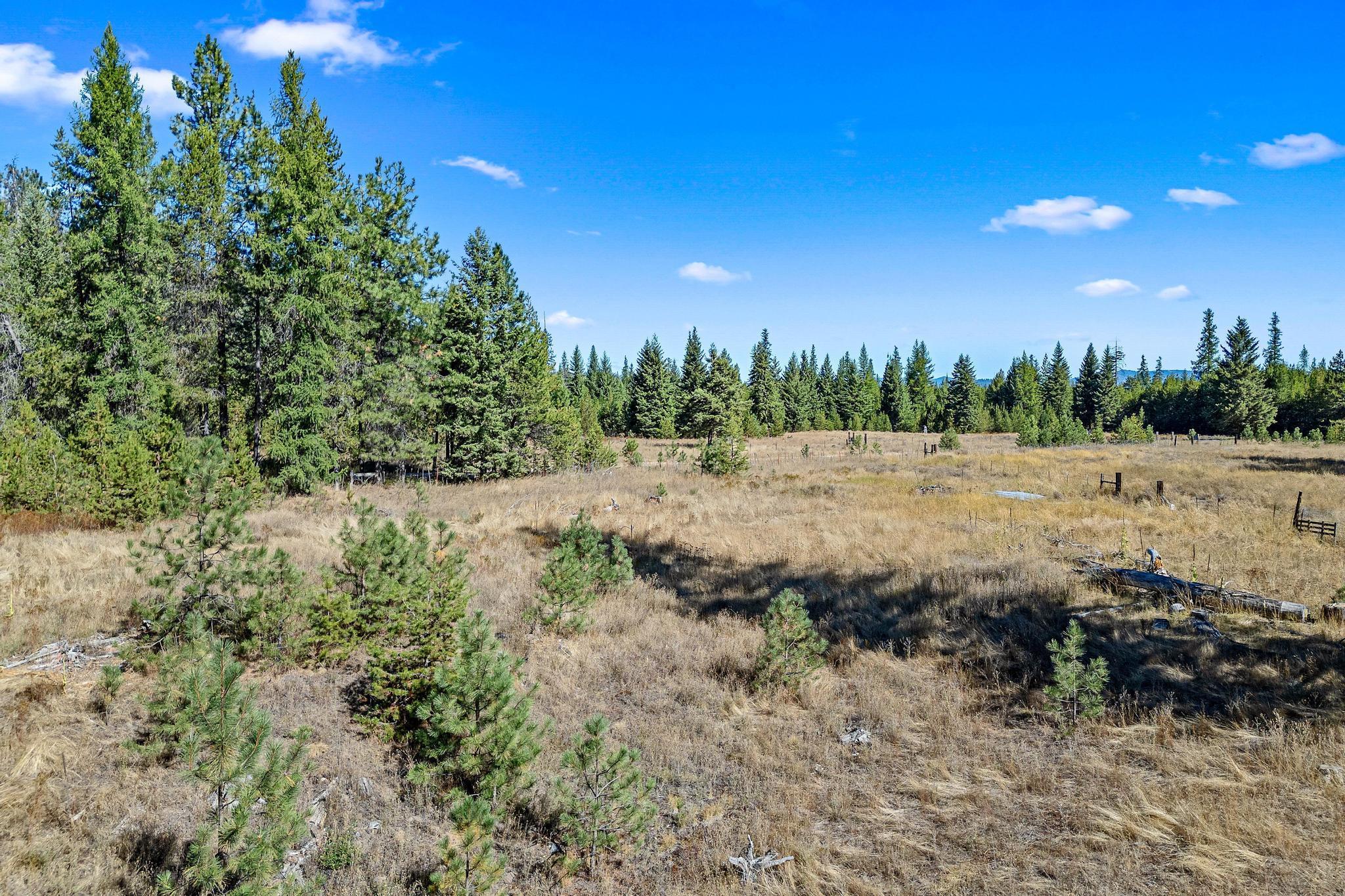 Nka Pines Road Newport, WA 99156 - Photo 11 of 28