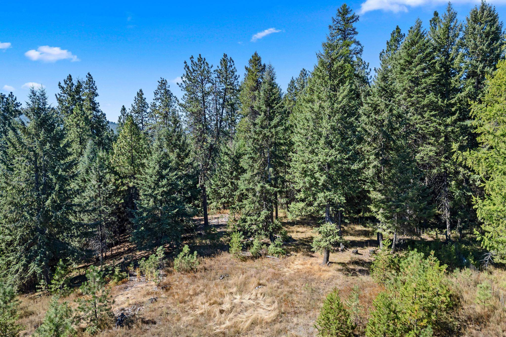 Nka Pines Road Newport, WA 99156 - Photo 12 of 28