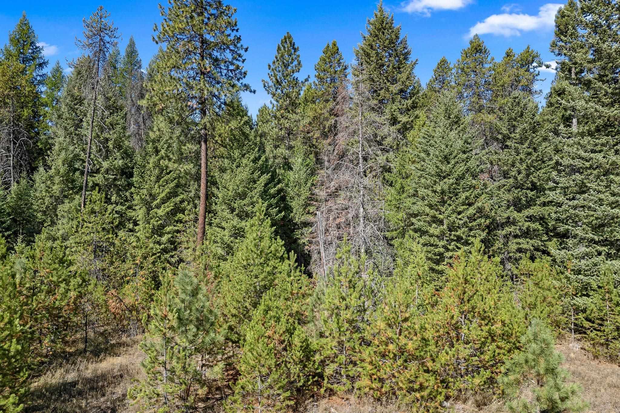 Nka Pines Road Newport, WA 99156 - Photo 14 of 28