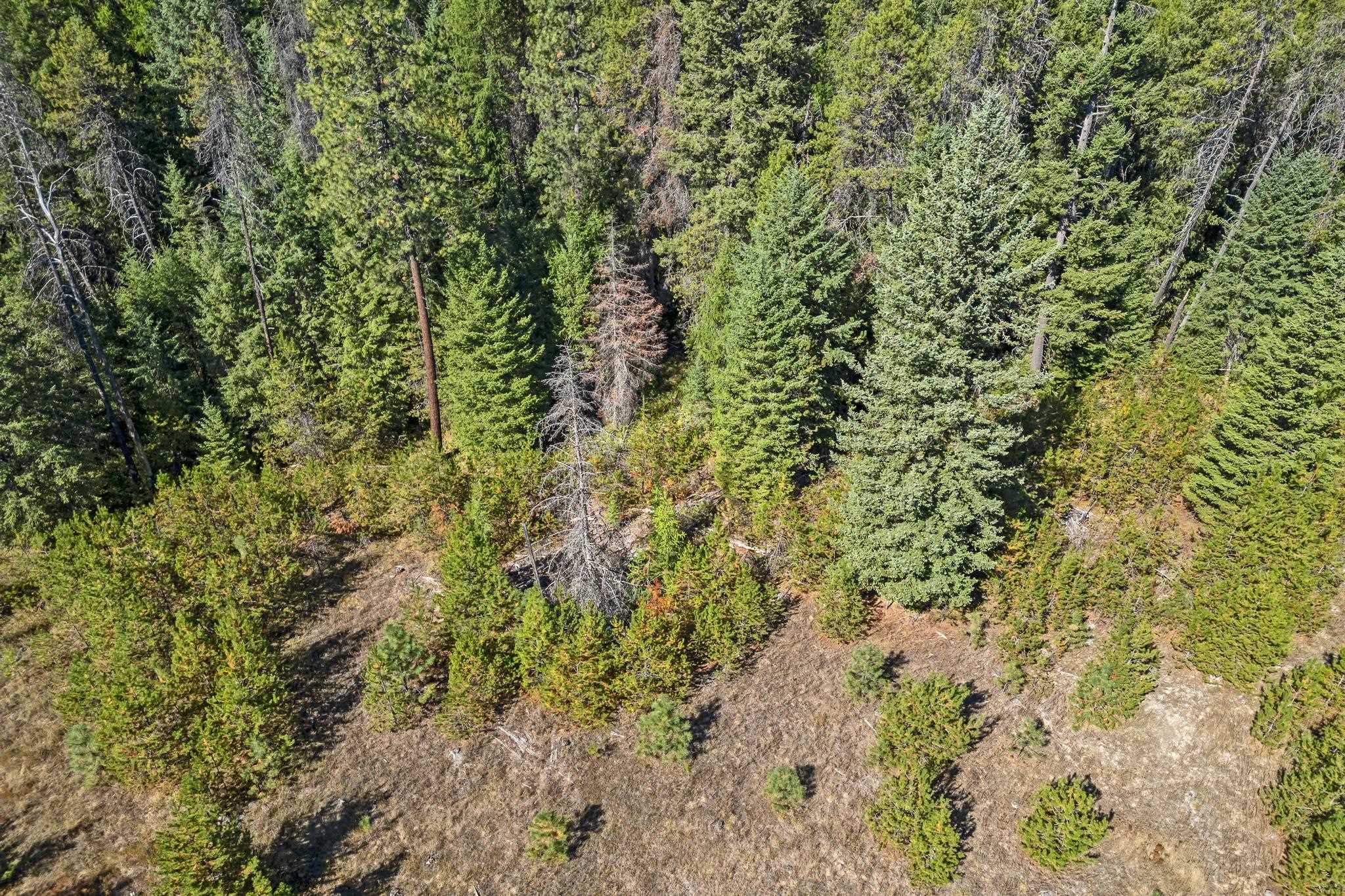 Nka Pines Road Newport, WA 99156 - Photo 15 of 28