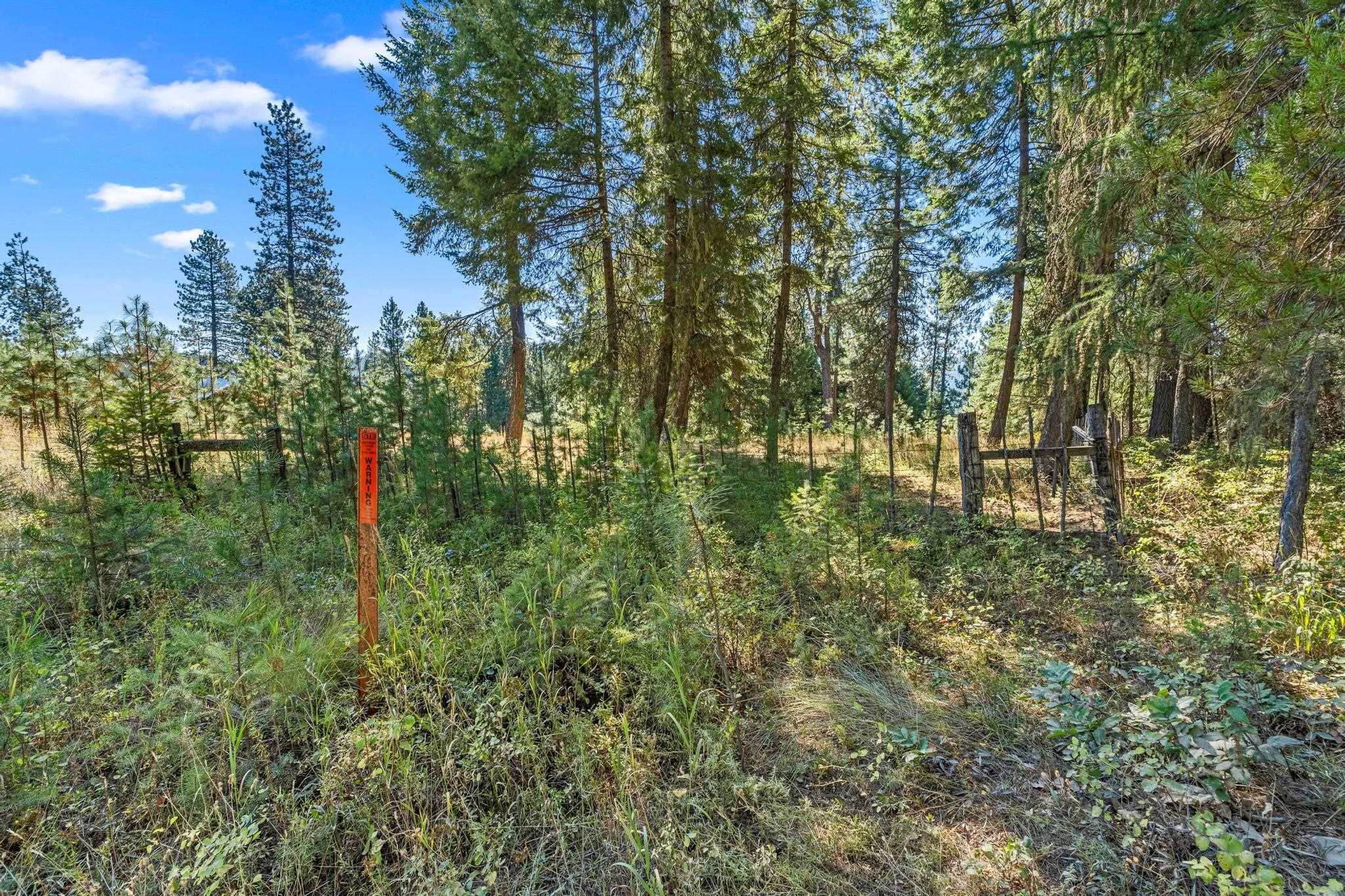 Nka Pines Road Newport, WA 99156 - Photo 16 of 28